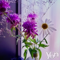 ���ܥ���Х��顦����� CLUB WONDER(����� ������) ���ȻҤ�6��27���̥�֥�����💐💐💐��