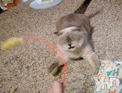 甲府ソープオレンジハウス りえ(23)の3月10日写メブログ「ごめんなさい😭」