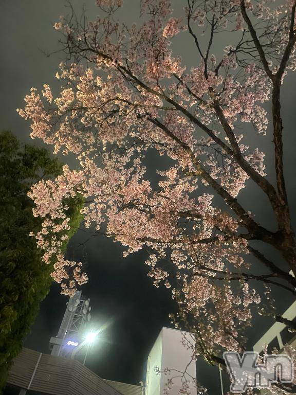 甲府ソープオレンジハウスあさひ(21)の2025年3月31日写メブログ「明日から❣️」