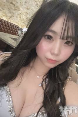 ꤹ(20) Ĺ159cmܥХ顦 CLUB WONDER( )ҡ
