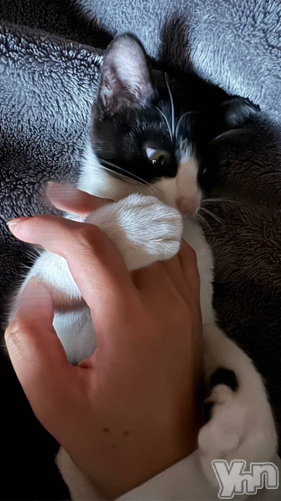 ���ܥ���Х��顦�����Entertainment Club HANA��BUSA(���󥿡��ƥ����ȥ���֡��ϥʥ֥�) �뤢��1��12���̥�֥����ֽ����饹�Ƚж�🫡��