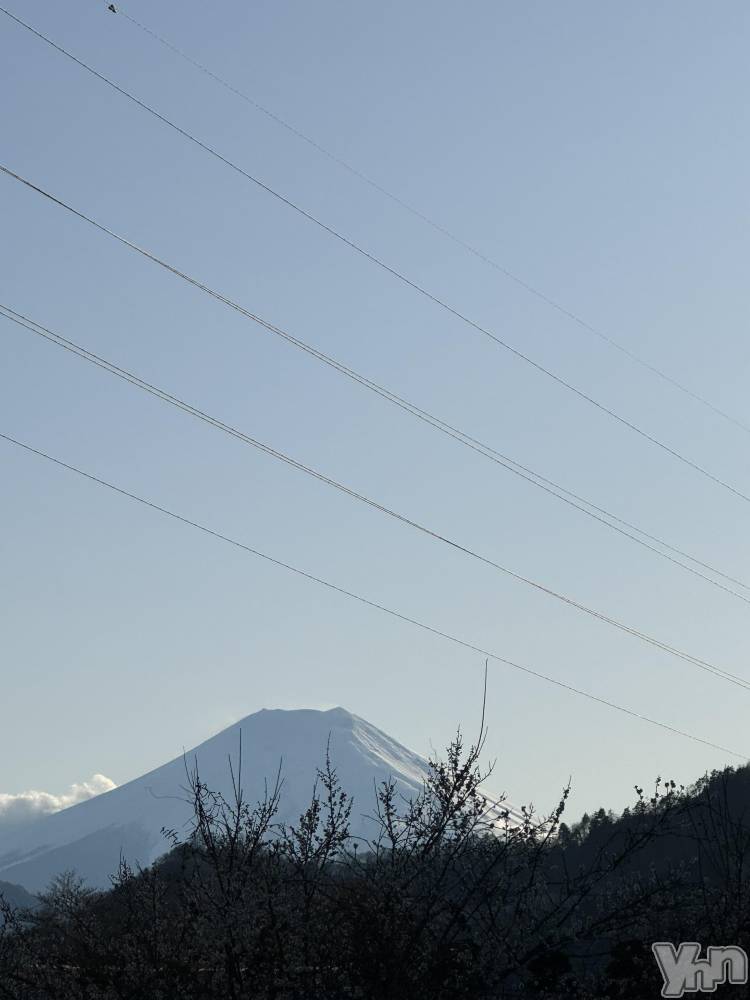 ���ܥ���Х��顦�����Entertainment Club HANA��BUSA(���󥿡��ƥ����ȥ���֡��ϥʥ֥�) �뤢��3��7���̥�֥������ٻλ�🗻🩵��