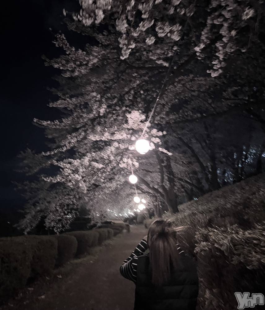 ���ܥ���Х��顦�����Entertainment Club HANA��BUSA(���󥿡��ƥ����ȥ���֡��ϥʥ֥�) �뤢��4��8���̥�֥�����🌸💖��