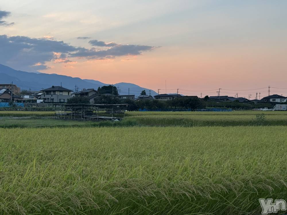 ���ܥ���Х��顦�����Entertainment Club HANA��BUSA(���󥿡��ƥ����ȥ���֡��ϥʥ֥�) �뤢��9��1���̥�֥����֤���🌾💛��