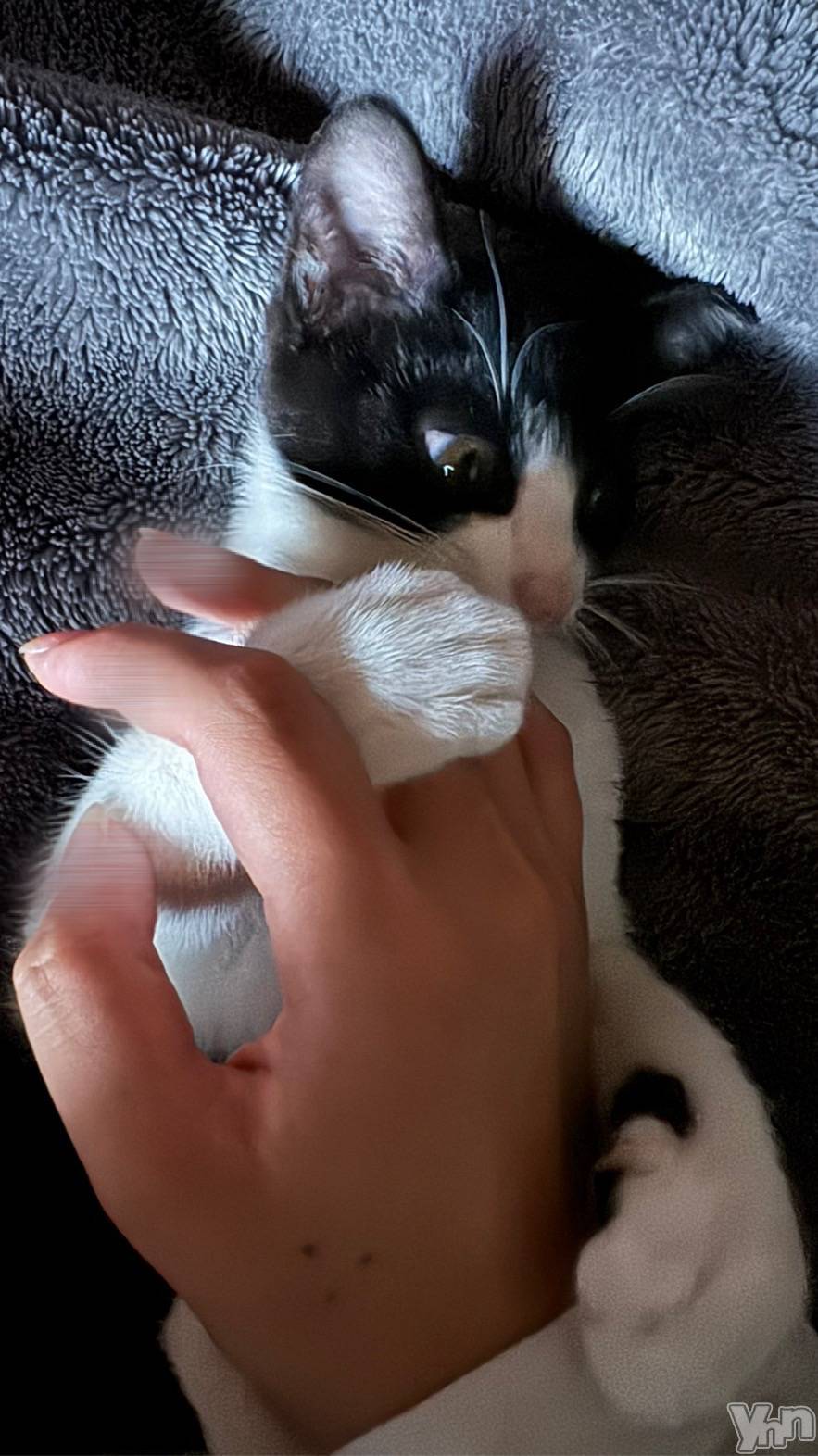 ���ܥ���Х��顦�����Entertainment Club HANA��BUSA(���󥿡��ƥ����ȥ���֡��ϥʥ֥�) ��2025ǯ1��12���̥�֥����ֽ����饹�Ƚж�🫡��