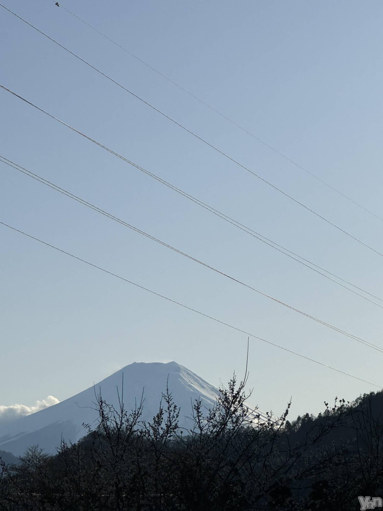 ���ܥ���Х��顦�����Entertainment Club HANA��BUSA(���󥿡��ƥ����ȥ���֡��ϥʥ֥�) ��2025ǯ3��7���̥�֥������ٻλ�🗻🩵��