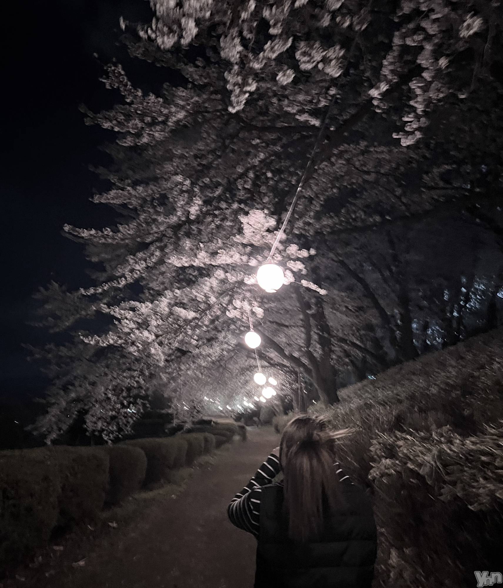 ���ܥ���Х��顦�����Entertainment Club HANA��BUSA(���󥿡��ƥ����ȥ���֡��ϥʥ֥�) ��2025ǯ4��8���̥�֥�����🌸💖��