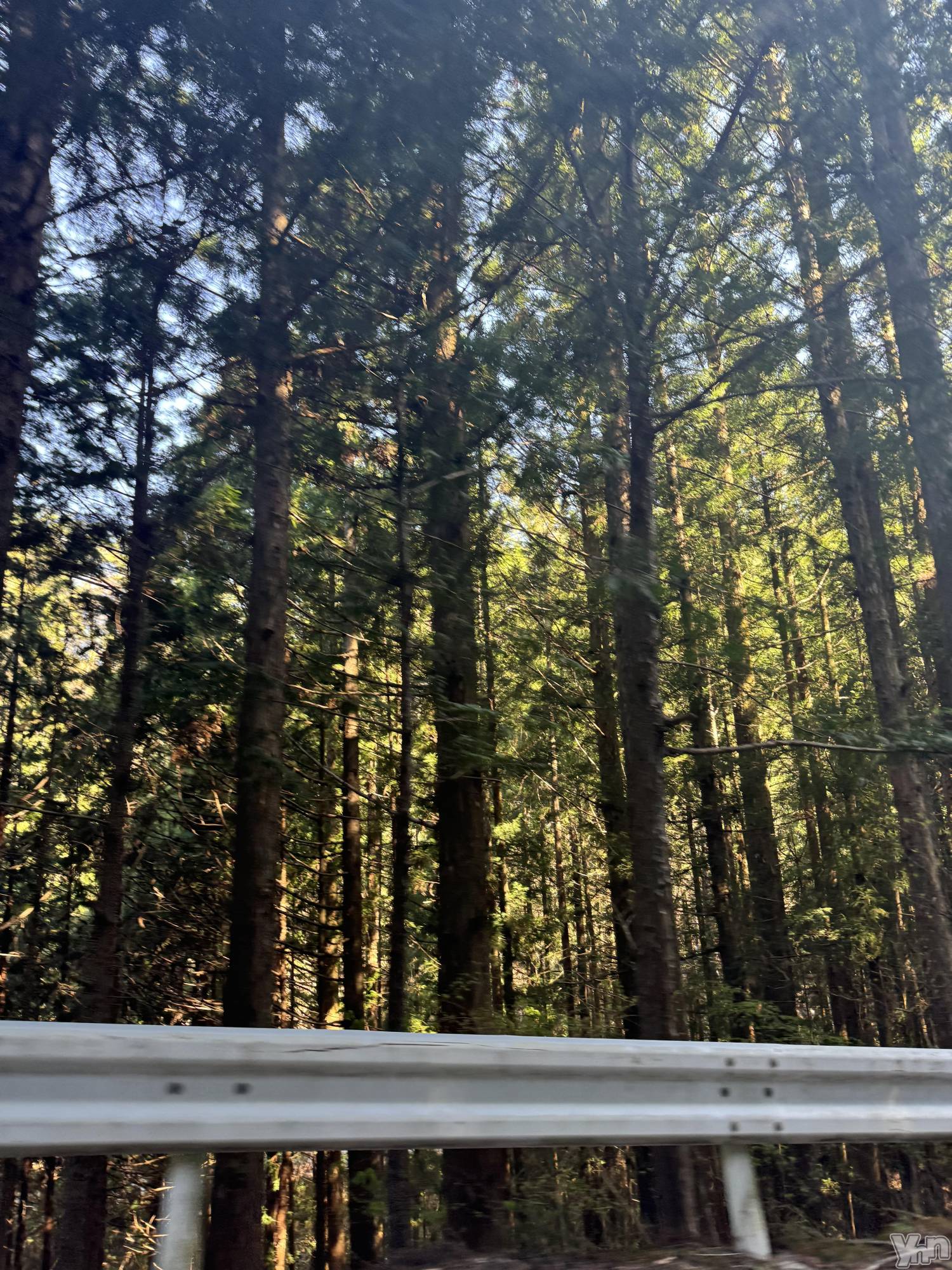 ���ܥ���Х��顦�����Entertainment Club HANA��BUSA(���󥿡��ƥ����ȥ���֡��ϥʥ֥�) ��2025ǯ4��28���̥�֥����ֻ��ںΤ�ԤäƤ������‼️��