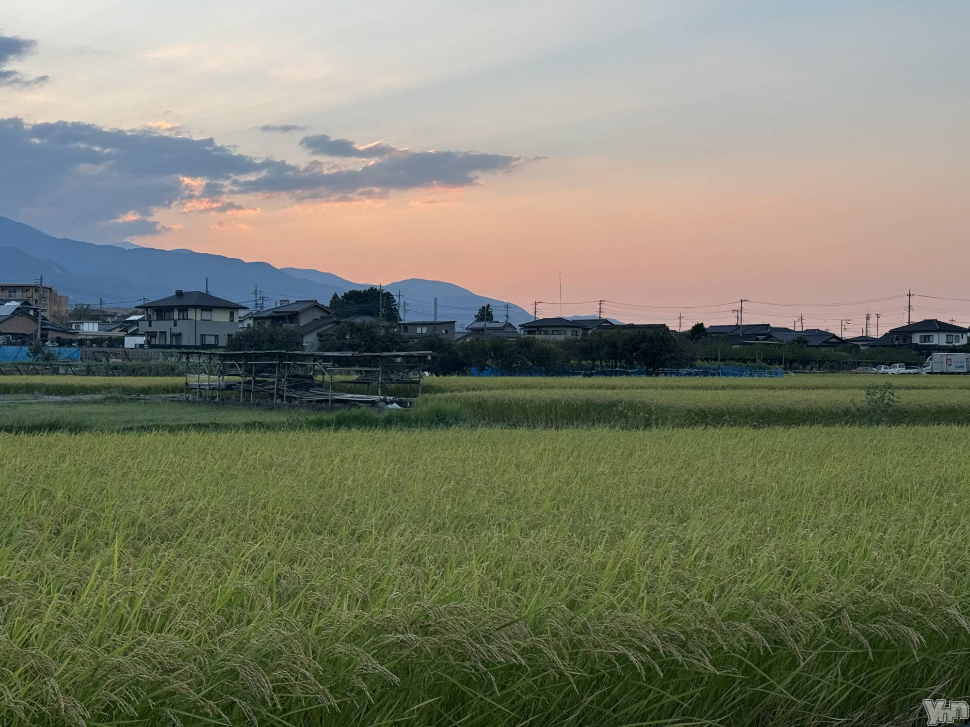 ���ܥ���Х��顦�����Entertainment Club HANA��BUSA(���󥿡��ƥ����ȥ���֡��ϥʥ֥�) ��2025ǯ9��1���̥�֥����֤���🌾💛��