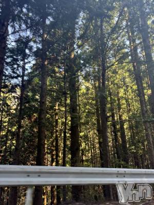 ���ܥ���Х��顦�����Entertainment Club HANA��BUSA(���󥿡��ƥ����ȥ���֡��ϥʥ֥�) �뤢(20)��4��28���̥�֥����ֻ��ںΤ�ԤäƤ������‼️��