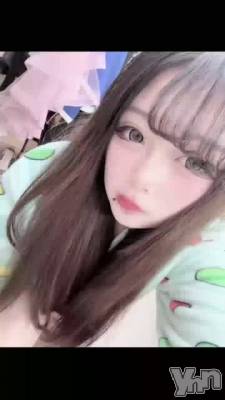 ��������Ǥ���衪