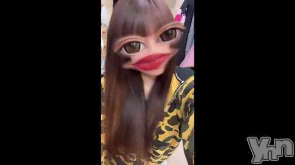 �ֺ����ϲ����ܤ����ͽ��Ǥ���‼️��