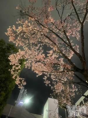 甲府ソープ 石蹄(セキテイ) あさひ(21)の3月31日写メブログ「明日から❣️」