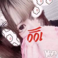 ���ܻԥ��ʥå��������륺�С� Girl's Bar All-in(�����륤��)(�����륺�С������륤��) ���ޤͤβ���(2����)