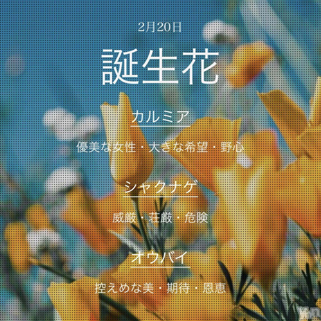 ���ܥ���Х��顦�����CLUB WONDER(����� ������) ��2024ǯ11��8���̥�֥�����ͥ���ʽ�����