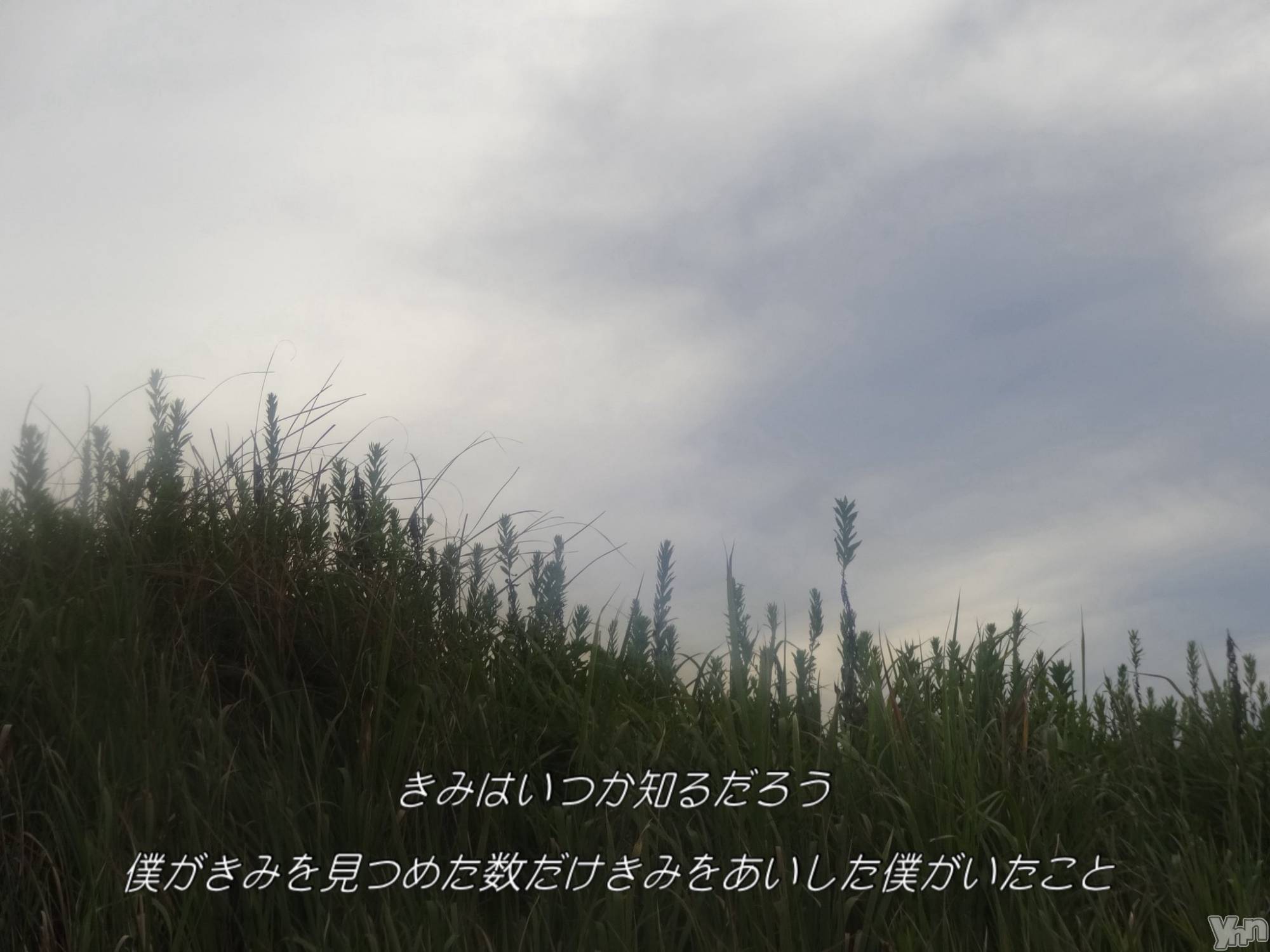 ���ܥ���Х��顦�����CLUB WONDER(����� ������) ��2025ǯ9��28���̥�֥����ֲ񤤤�����