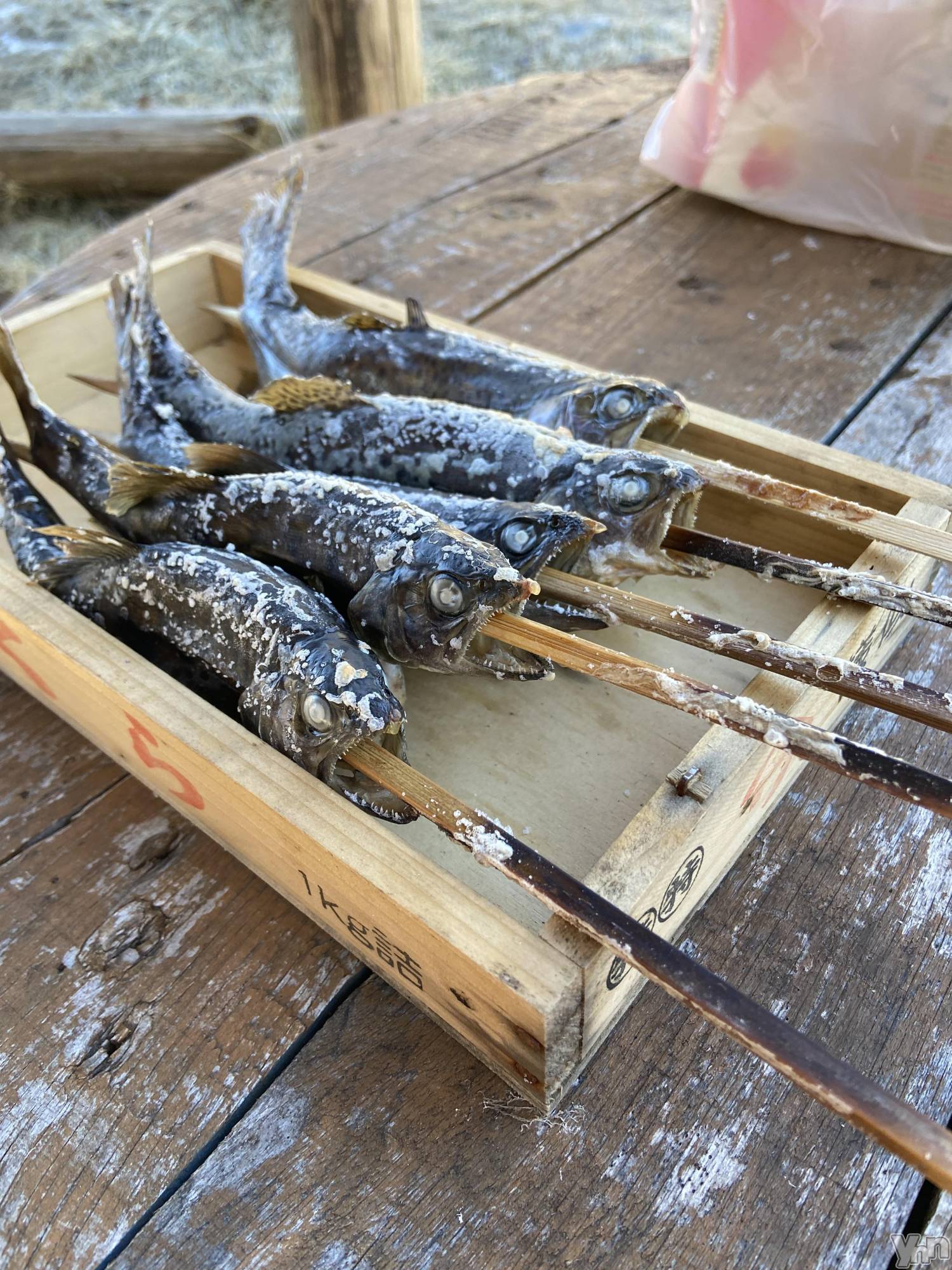 ���ܥ���Х��顦�����CLUB WONDER(����� ������) ��2025ǯ10��3���̥�֥����ֻ�α�����̣(   ᷇ᵕ  ᷆  )��