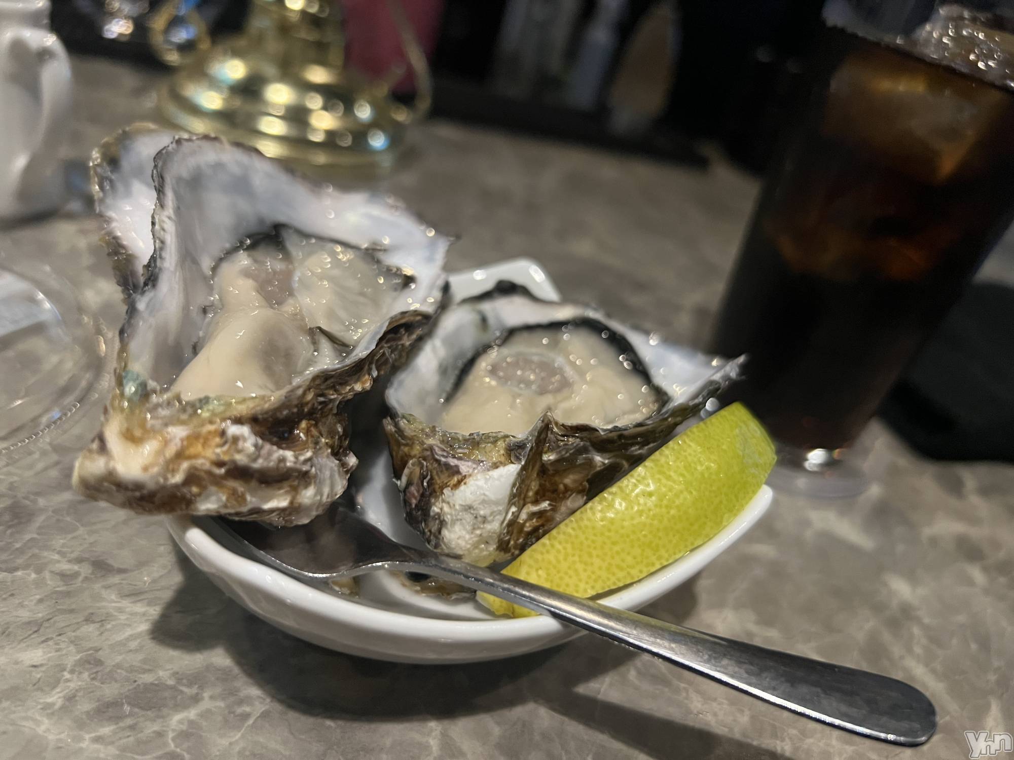 ���ܥ���Х��顦�����CLUB WONDER(����� ������) ��2025ǯ12��11���̥�֥����֤���ϤĤޤꡢ������