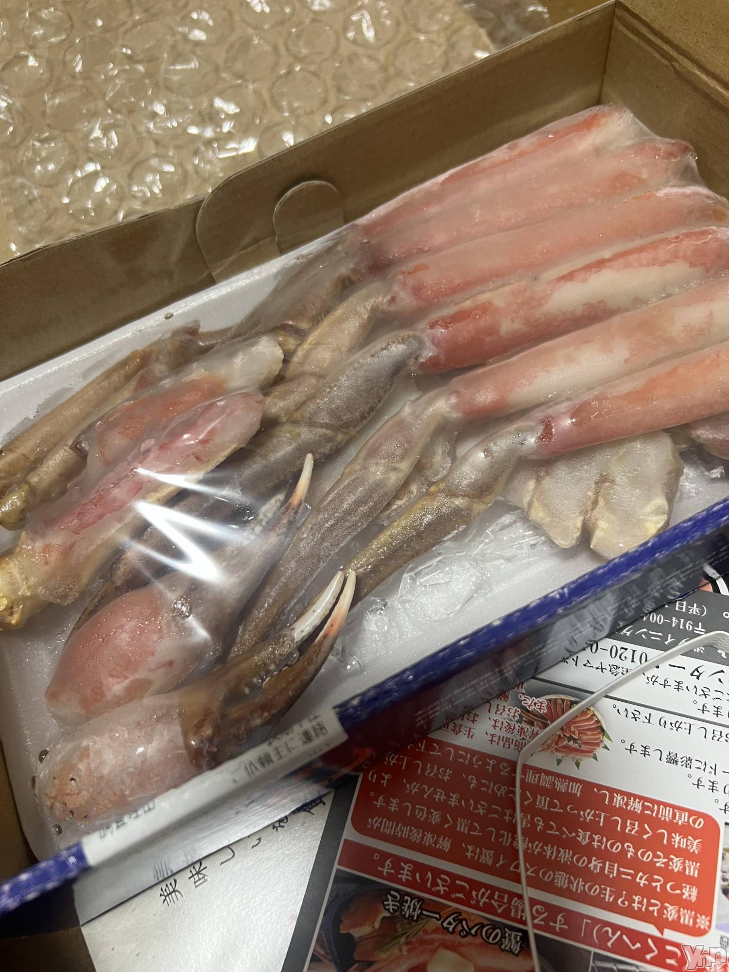 ���ܥ���Х��顦�����CLUB WONDER(����� ������) ��2026ǯ2��26���̥�֥����֥ץ쥼��ȡ�[�ߎ�]���