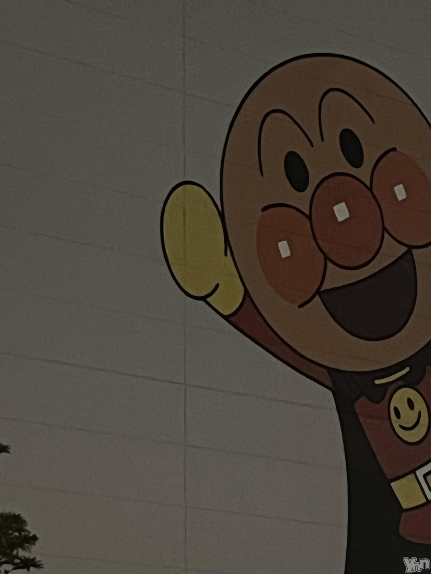 ���ܥ���Х��顦�����CLUB WONDER(����� ������) ��2026ǯ3��14���̥�֥����ָ���100��(⚈ ̍̑⚈ ̍̑⚈)��