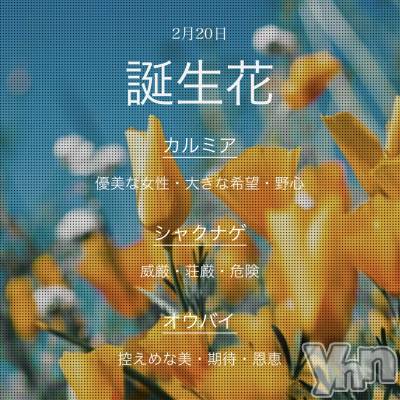 ���ܥ���Х��顦�����CLUB WONDER(����� ������) NANA(23)��11��8���̥�֥�����ͥ���ʽ�����