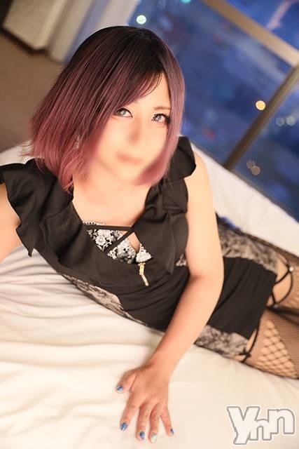 NH羽兎サブレ ツー