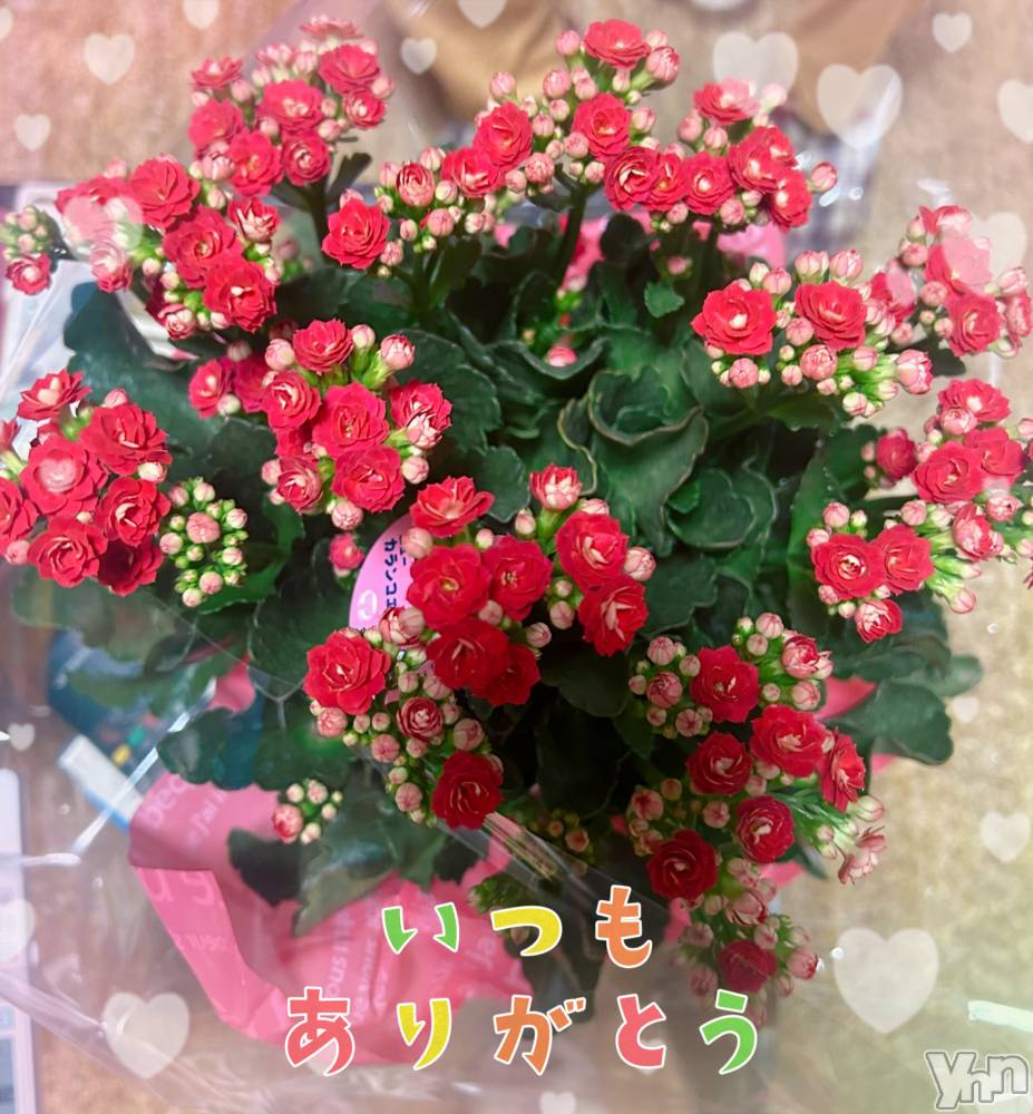 ���ܥ���Х��顦�����CLUB WONDER(����� ������) �����9��18���̥�֥�����💐🤍��