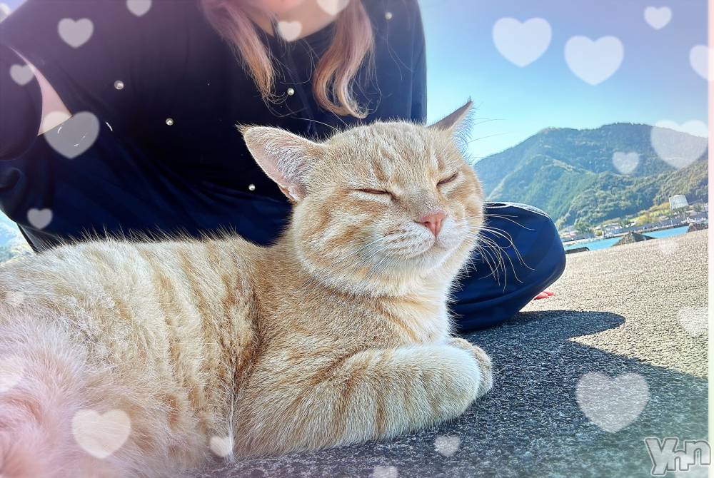 ���ܥ���Х��顦�����CLUB WONDER(����� ������) �����10��15���̥�֥����ֺƲ�‪‪❤︎‬��