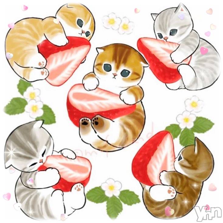 ���ܥ���Х��顦�����CLUB WONDER(����� ������) �����1��16���̥�֥����֤�����‪‪❤︎‬��