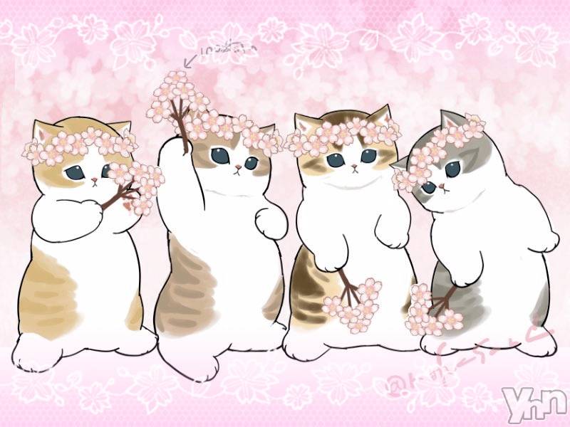 ���ܥ���Х��顦�����CLUB WONDER(����� ������) �����3��28���̥�֥����֤��������‪‪❤︎‬��