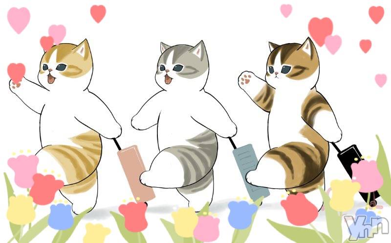 ���ܥ���Х��顦�����CLUB WONDER(����� ������) �����4��27���̥�֥�����Ϣ��‪‪❤︎‬��