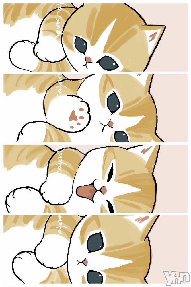 ���ܥ���Х��顦�����CLUB WONDER(����� ������) �����6��11���̥�֥����ֲ���‪‪❤︎‬��