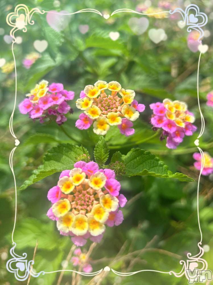 ���ܥ���Х��顦�����CLUB WONDER(����� ������) �����7��9���̥�֥����֥�󥿥�‪‪❤︎‬��