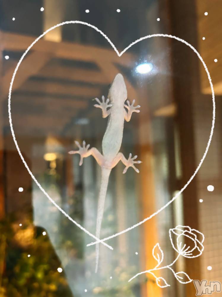 ���ܥ���Х��顦�����CLUB WONDER(����� ������) �����8��31���̥�֥�����ȯ��‪‪❤︎‬��