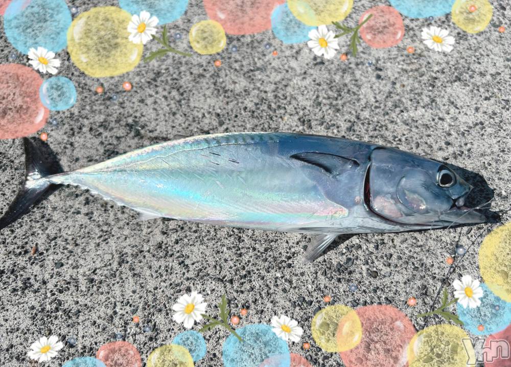 ���ܥ���Х��顦�����CLUB WONDER(����� ������) �����10��8���̥�֥����֥��ĥ�‪‪❤︎‬��