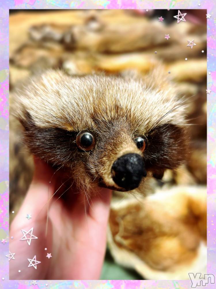 ���ܥ���Х��顦�����CLUB WONDER(����� ������) �����1��3���̥�֥�����Ķ�쥢‪‪❤︎‬��