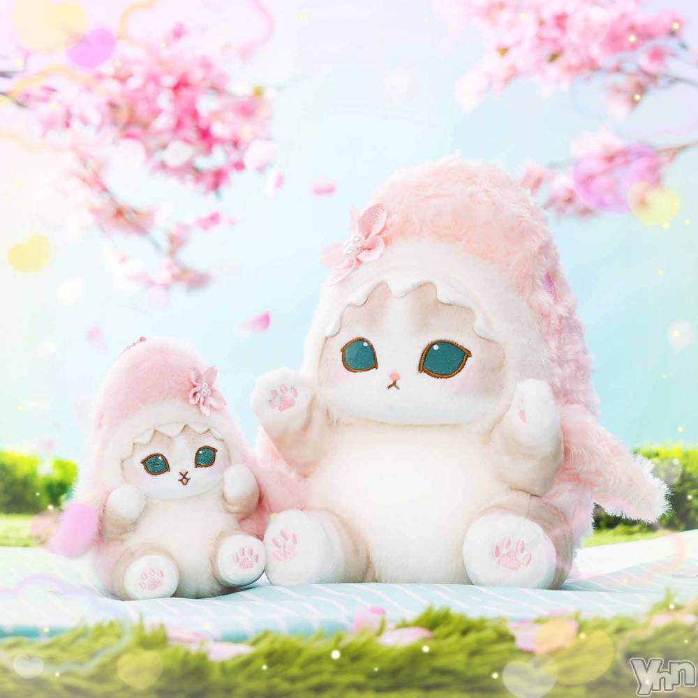 ���ܥ���Х��顦�����CLUB WONDER(����� ������) �����3��5���̥�֥����ֵפ��֤�‪‪❤︎‬��