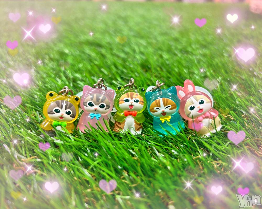 ���ܥ���Х��顦�����CLUB WONDER(����� ������) �����3��31���̥�֥����֥���ץ꡼��‪‪❤︎‬��