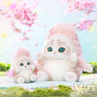 ���ܥ���Х��顦����� CLUB WONDER(����� ������) ����μ̥�֥����ֵפ��֤�‪‪❤︎‬��