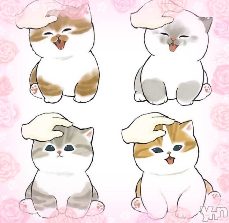 ���ܥ���Х��顦�����CLUB WONDER(����� ������) ��2024ǯ12��11���̥�֥����֤����λ�ã‪‪❤︎‬��