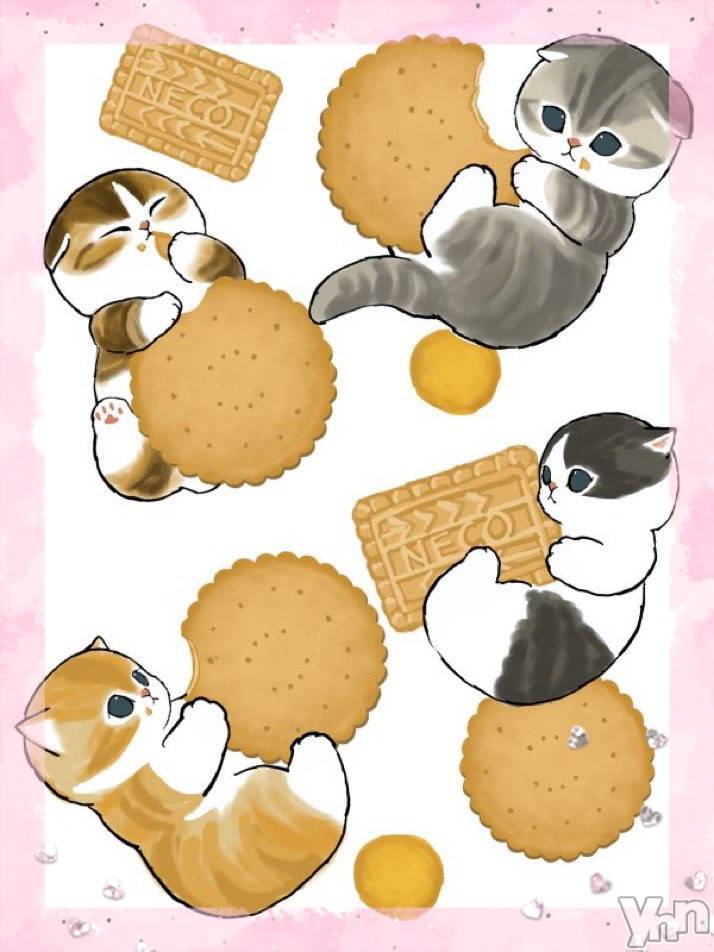 ���ܥ���Х��顦�����CLUB WONDER(����� ������) ��2025ǯ3��2���̥�֥����֥ӥ����å�‪‪❤︎‬��