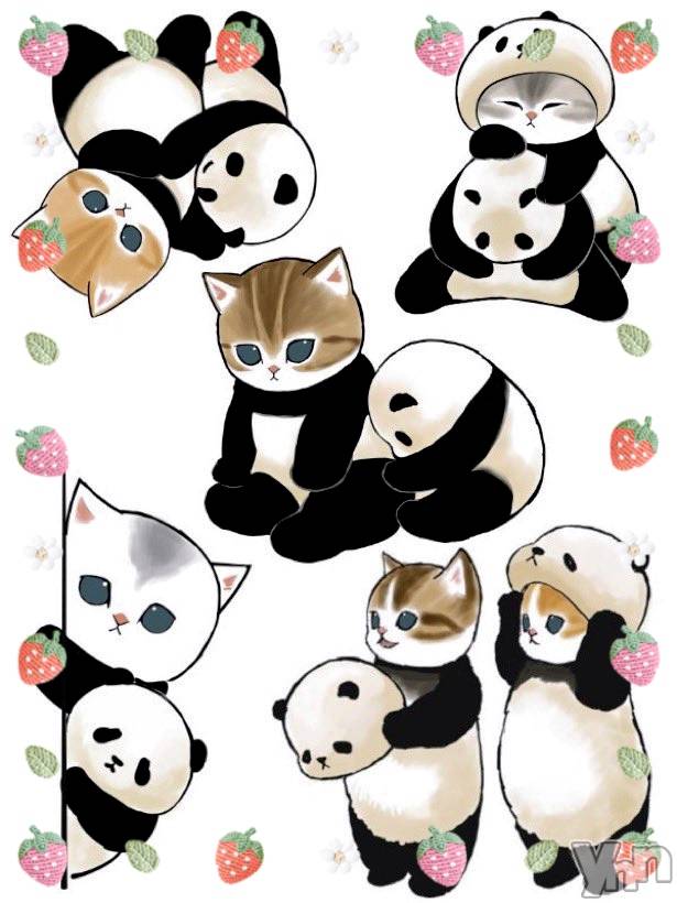 ���ܥ���Х��顦�����CLUB WONDER(����� ������) ��2025ǯ3��13���̥�֥����֥ѥ��‪‪❤︎‬��