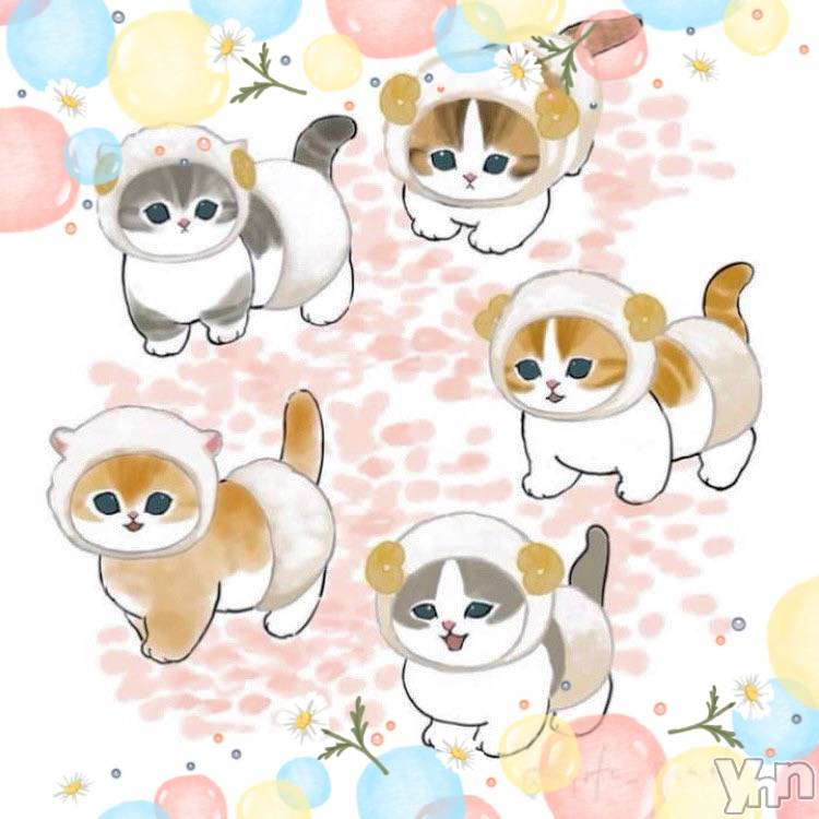 ���ܥ���Х��顦�����CLUB WONDER(����� ������) ��2025ǯ3��21���̥�֥����ֽ�ʬ‪‪❤︎‬��