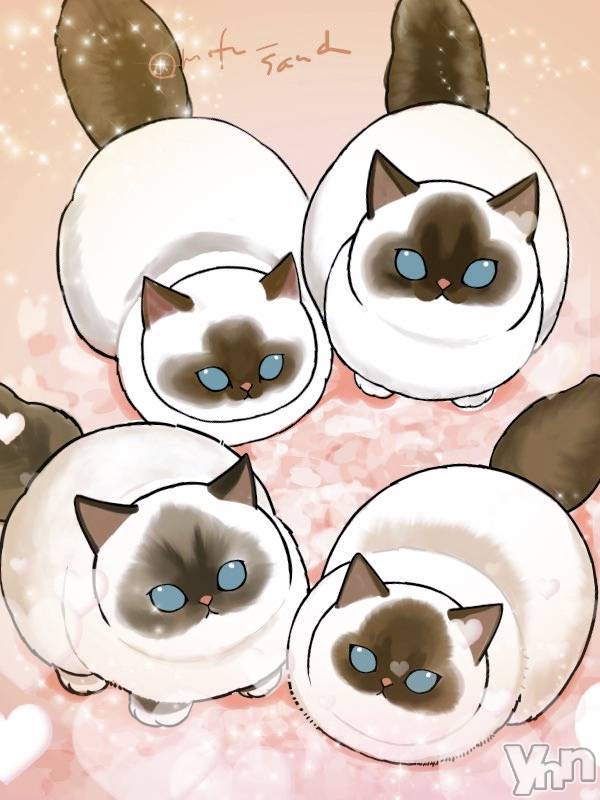 ���ܥ���Х��顦�����CLUB WONDER(����� ������) ��2025ǯ4��12���̥�֥����ֺ�����‪‪❤︎‬��