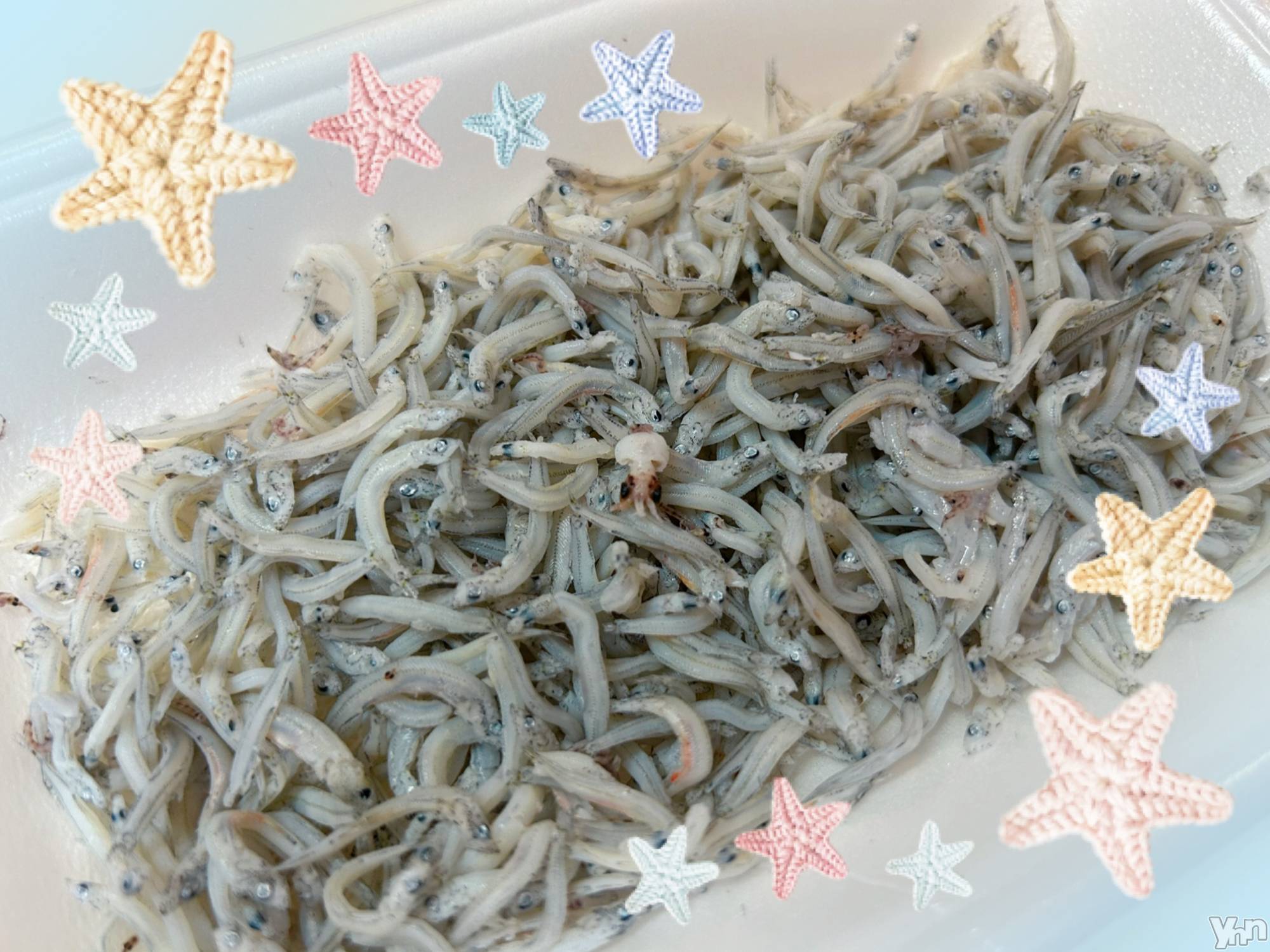 ���ܥ���Х��顦�����CLUB WONDER(����� ������) ��2025ǯ5��27���̥�֥����֥ߥ˥���‪‪❤︎‬��