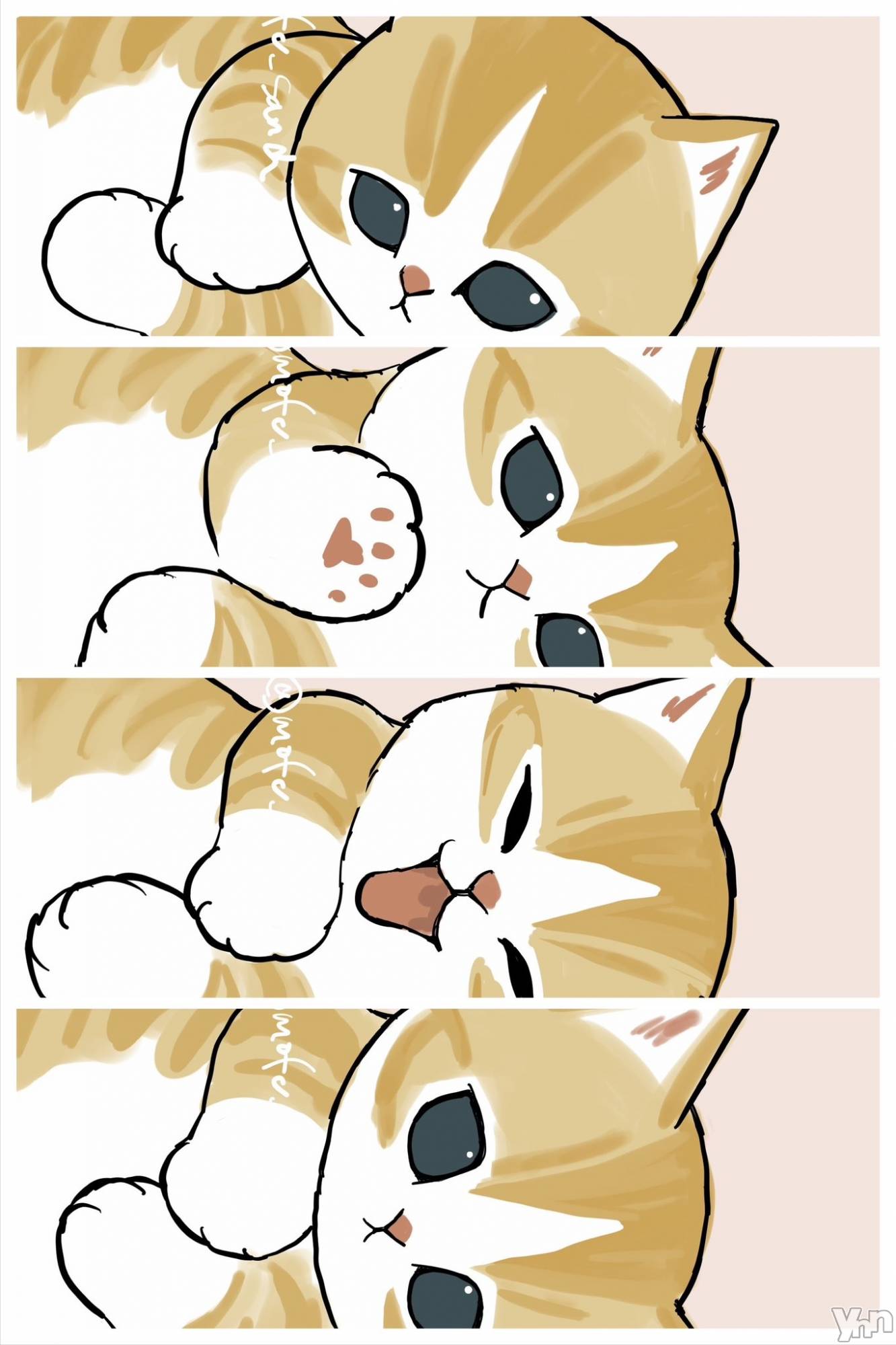 ���ܥ���Х��顦�����CLUB WONDER(����� ������) ��2025ǯ6��11���̥�֥����ֲ���‪‪❤︎‬��