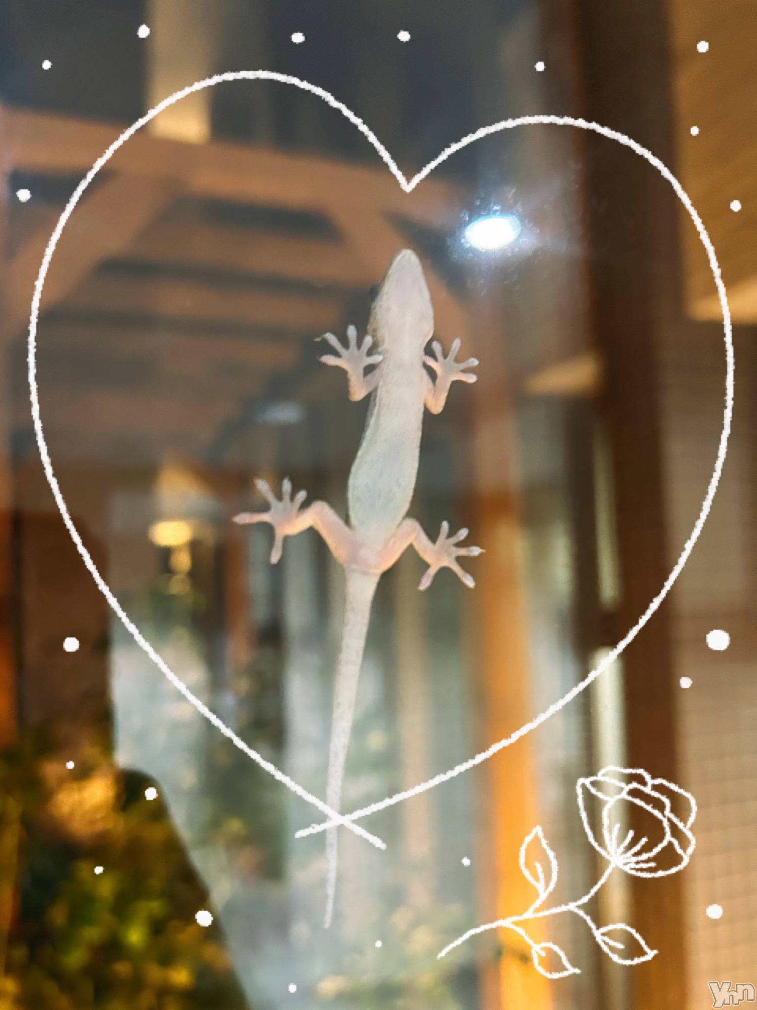 ���ܥ���Х��顦�����CLUB WONDER(����� ������) ��2025ǯ8��31���̥�֥�����ȯ��‪‪❤︎‬��