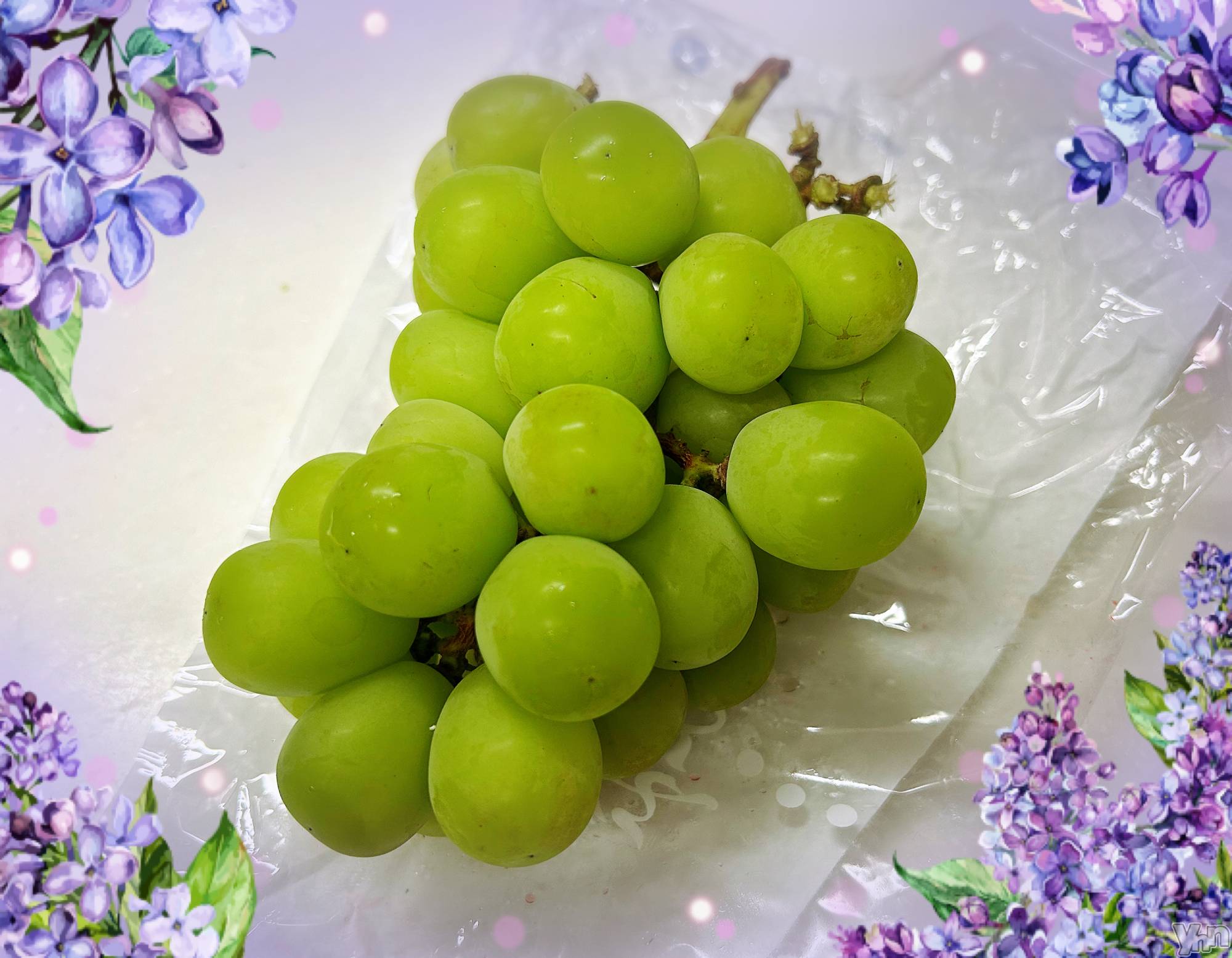 ���ܥ���Х��顦�����CLUB WONDER(����� ������) ��2025ǯ9��7���̥�֥����ֽ�‪‪❤︎‬��