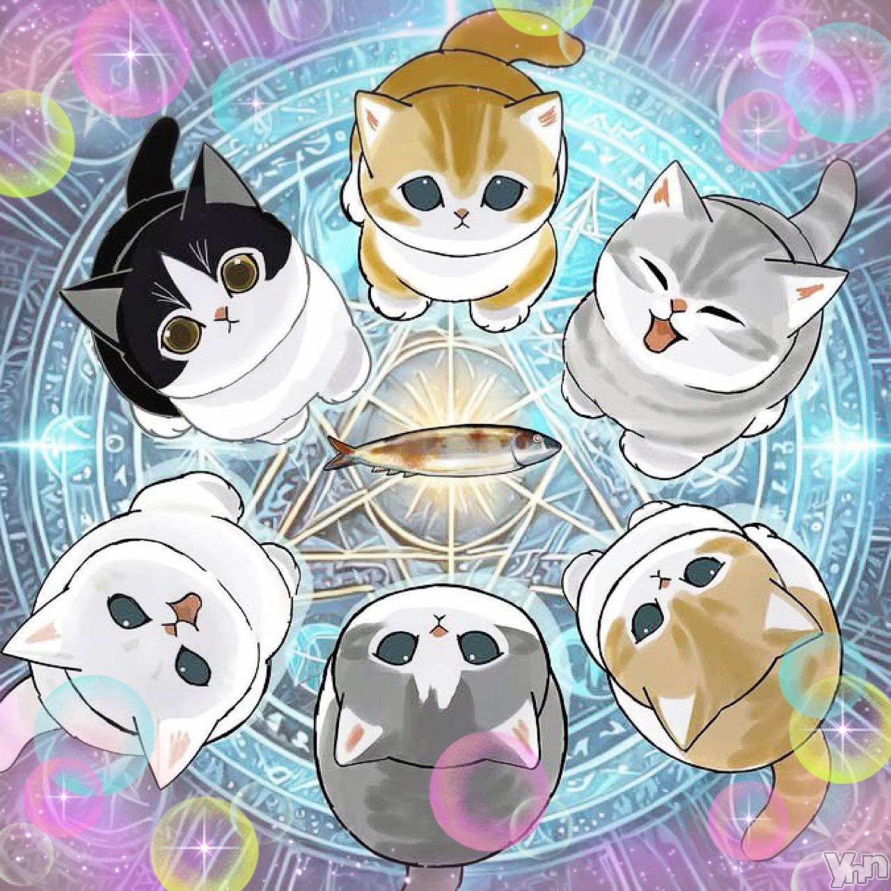 ���ܥ���Х��顦�����CLUB WONDER(����� ������) ��2025ǯ9��11���̥�֥����֥ӥå���❤︎��