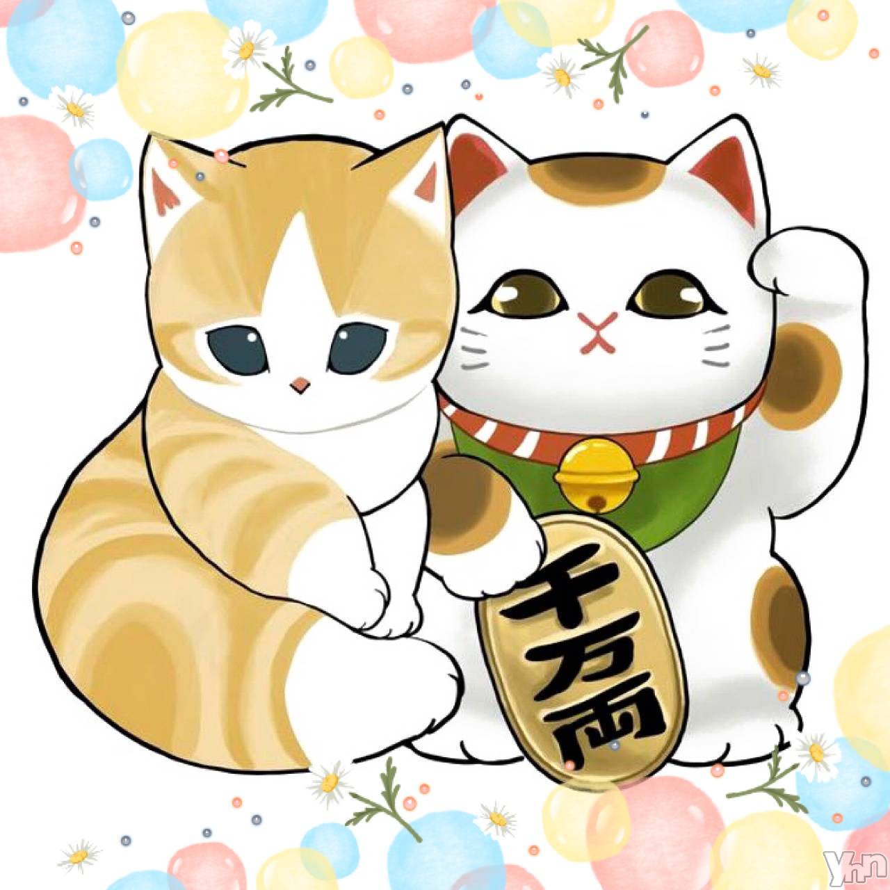 ���ܥ���Х��顦�����CLUB WONDER(����� ������) ��2025ǯ10��1���̥�֥����־���ǭ����‪‪❤︎‬��